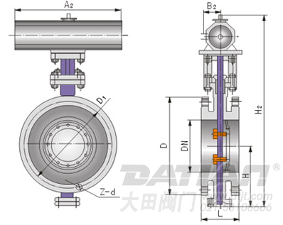 Dd643气动法兰式多层次金属硬密封蝶阀 结构图
