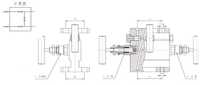 1151法兰式三阀组结构示意图